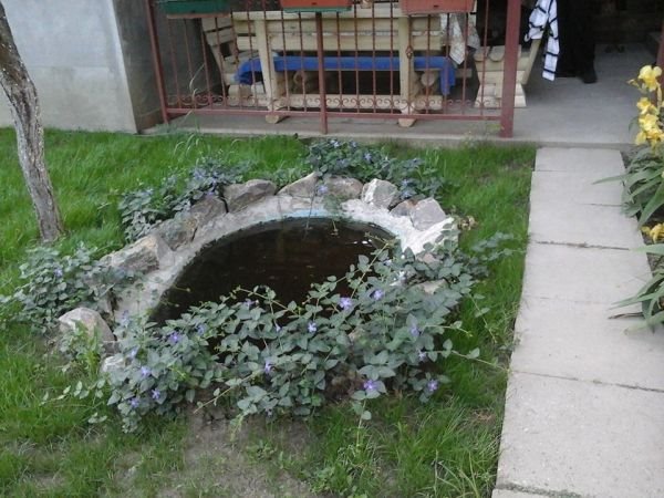 Vaše bašte, jun 2015: negovani vrtovi za divljenje Ivane Radović i Božice Džunić