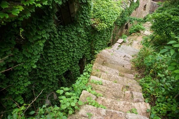 Napušteno selo ušuškano prirodom: nepregledna zelena površina okružena morem (FOTO)