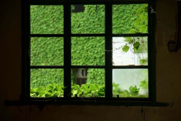 Napušteno selo ušuškano prirodom: nepregledna zelena površina okružena morem (FOTO)