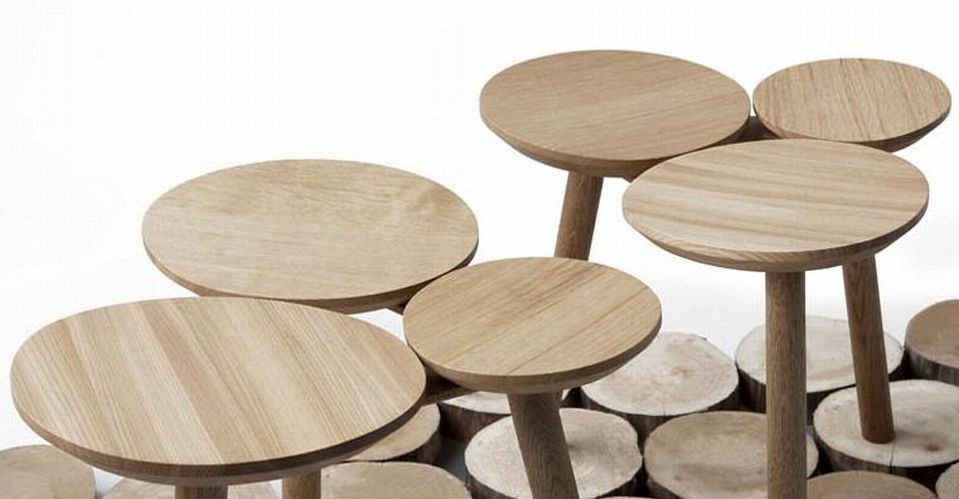 Asimetrična hoklica