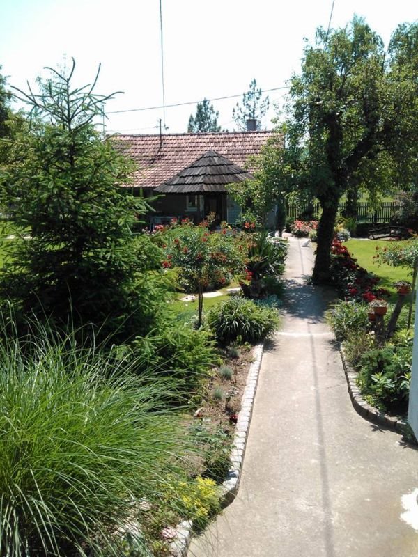 Vaše bašte, jul 2015: vrt porodice Milijanović iz Lajkovca koji je osvojio Fejsbuk (FOTO)
