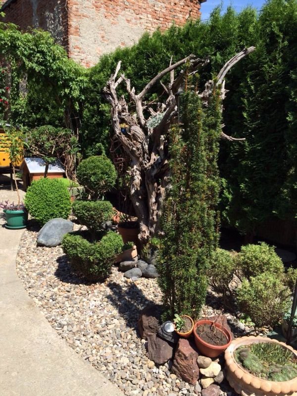 Vaše bašte, jul 2015: cvetna oaza Gordane Karaičić puna maštovitih detalja (FOTO)