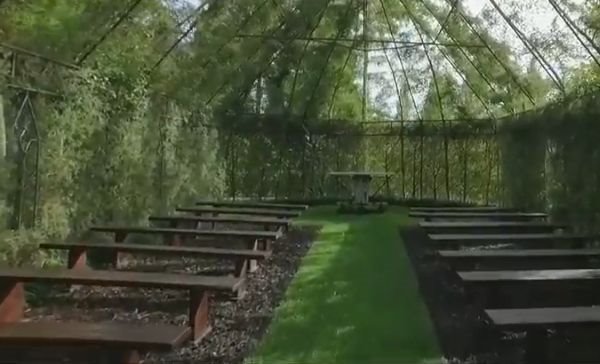 Baštovanski projekat za divljenje: čudesna crkva od živog drveća u velikom dvorištu (FOTO+VIDEO)
