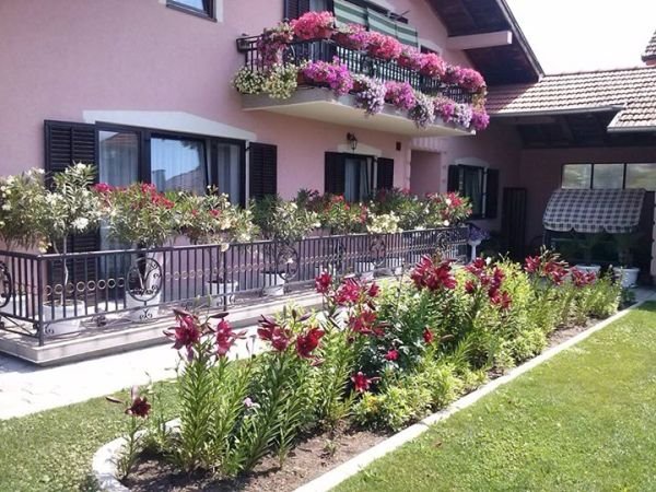 Vaše bašte, avgust 2015. godine: prelepe cvetne terase i letnjikovac Nevene Burgić u Kruševcu