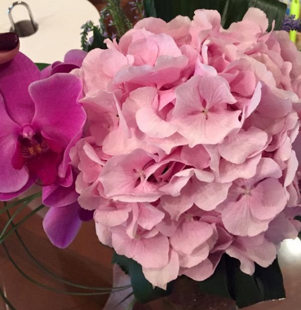 Milica i Aleksandar Šapić proslavili godišnjicu braka: Tri godine, dva anđela, jedna ljubav (FOTO)