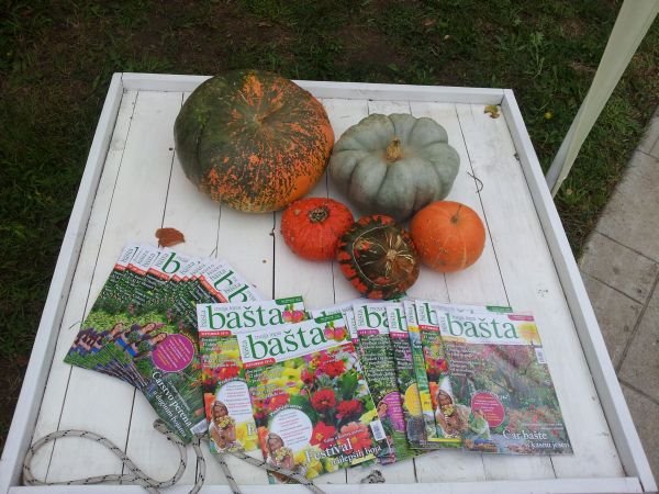 "Hitna pomoć" magazina "Moja lepa bašta" na 6. Beogradskom festivalu cveća  (FOTO)