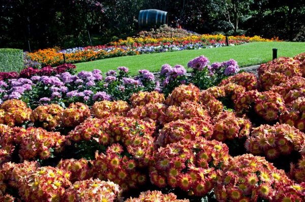 Najlepši vrtovi sveta: park Spektakl u Brizbejnu
