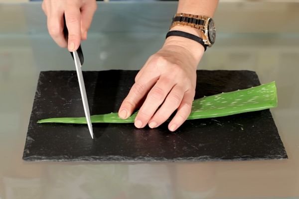 Napravite sami: lekoviti aloe vera gel (FOTO+VIDEO)