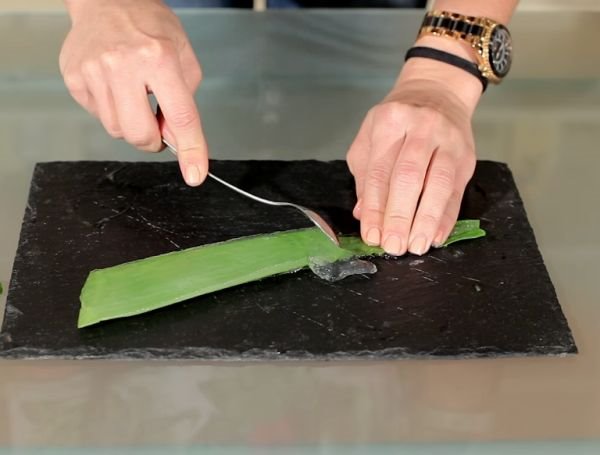 Napravite sami: lekoviti aloe vera gel (FOTO+VIDEO)