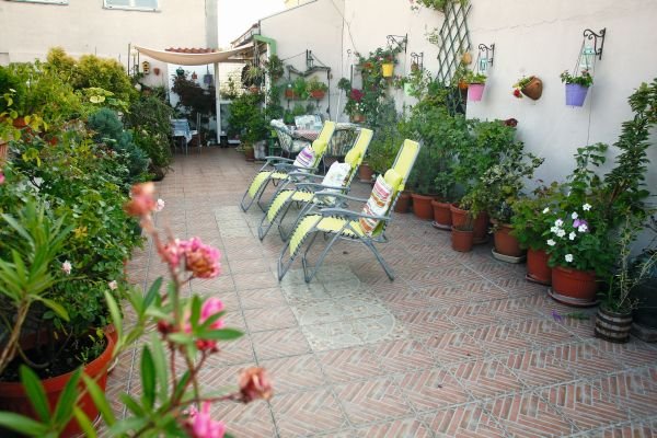 Kako Beograđanka Anđelka Jovanović uživa u svojoj bašti: 200 cvetova, lozica i žbunova krasi krov na Dorćolu (FOTO)