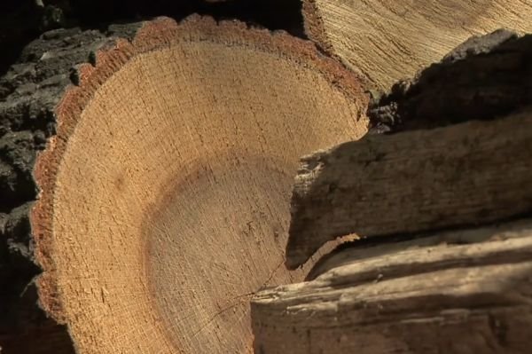 10 saveta za štednju pri grejanju: kako da efikasno iskoristite ogrevno drvo (FOTO + VIDEO)