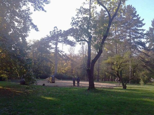 Prvi lavirint-park zasađen u Vrnjačkoj Banji od 440 sadnica čempresa! (FOTO)