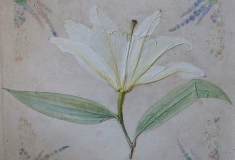 Cvet utisnut u večnosti