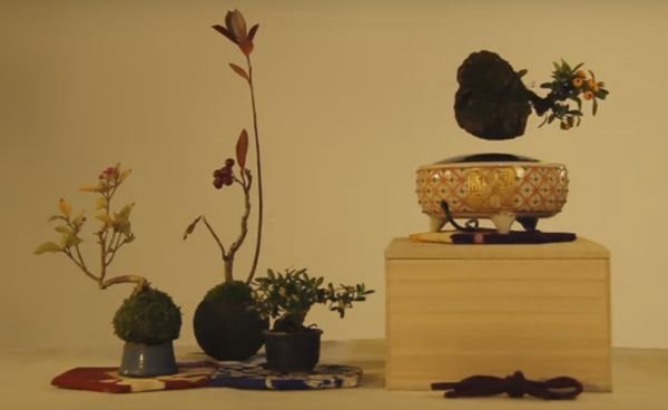 Japanska dekoracija za kojom je poludeo Internet: leteći bonsai je prava magija baštovanstva (FOTO, VIDEO)