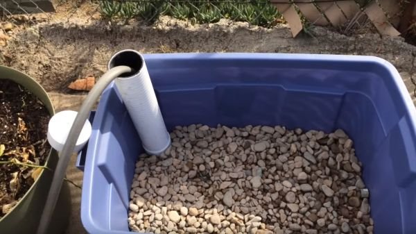 NAPRAVITE SVOJE MALO BAŠTOVANSKO CARSTVO: korak po korak do jedinstvenog mini vrta koji se sam zaliva (URADI SAM, FOTO, VIDEO)