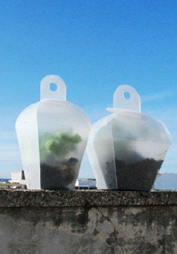 Mini staklena bašta