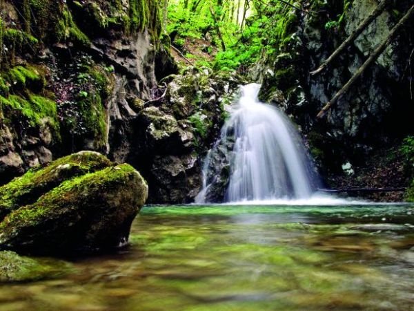 Opatija: otmeni duh stare dame