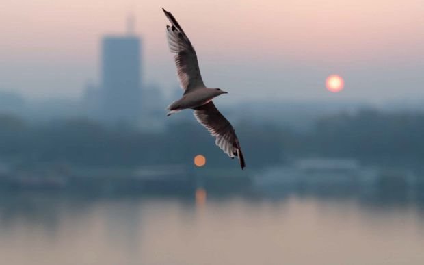 10 finalista foto-konkursa magazina Lisa lepa & srećna: April u Beogradu (FOTO)