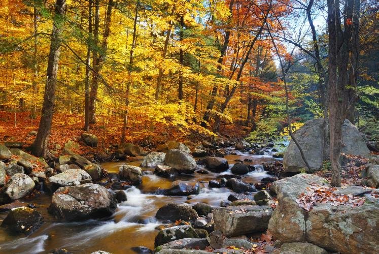 Inspiracija za baštovane: 7 najlepših citata o jeseni