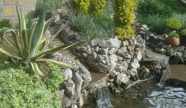 Vaše bašte: baštovanski raj porodice Čarapić sa 300 ruža različitih boja i fontanom od 50 kvadrata! (Kuršumlija)