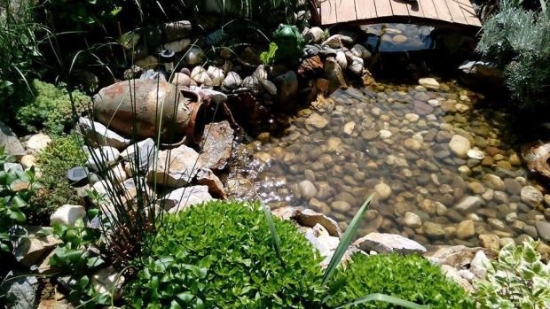 Vaše bašte: fontana i mostić krase prelepi cvetni vrt porodice Marković u Gornjem Milanovcu (FOTO)