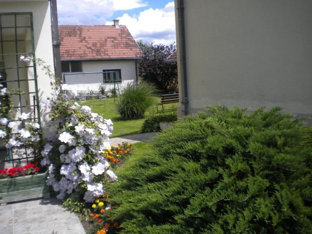 Vaše bašte: lekoviti vrt pun cveća porodice Vulićević u Trbušanima kod Čačka (FOTO)