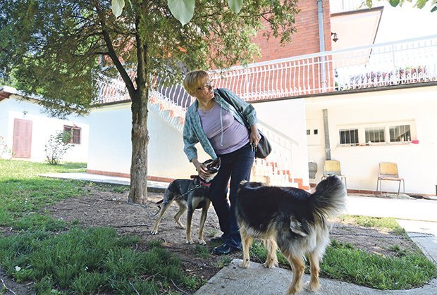 Kuća u Vraniću (130 m2, 4 sobe + 3 terase + džakuzi) na besplatno korišćenje: samo za iskrene ljubitelje životinja (FOTO)