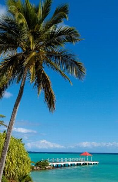 Ta čarobna ostrva Gvadalupe