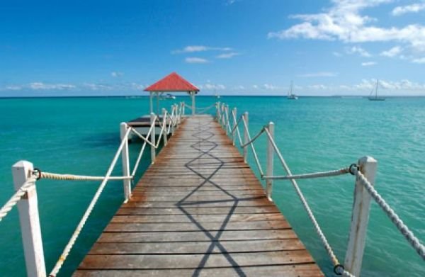 Ta čarobna ostrva Gvadalupe