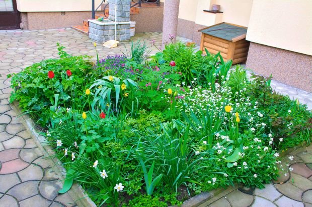 3. mesto na konkursu za najlepšu baštu Srbije 2015: mala gradska bašta Vesne i Aleksandra Galića iz Kikinde