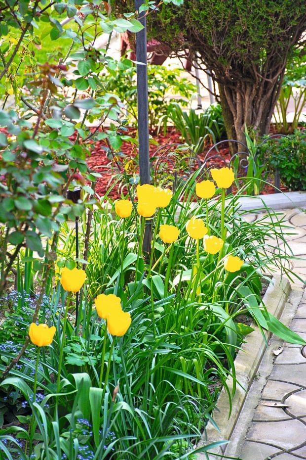 3. mesto na konkursu za najlepšu baštu Srbije 2015: mala gradska bašta Vesne i Aleksandra Galića iz Kikinde