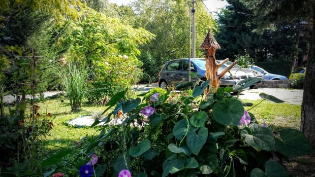 Vaše bašte: bašta iz snova Dejana Milutinovića koja je ulepšala Cerak (FOTO)