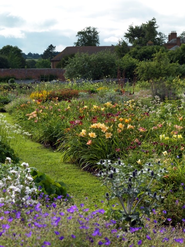 (VIDEO) Vrt ljiljana: rajska bašta za ljubitelje hemerokalisa
