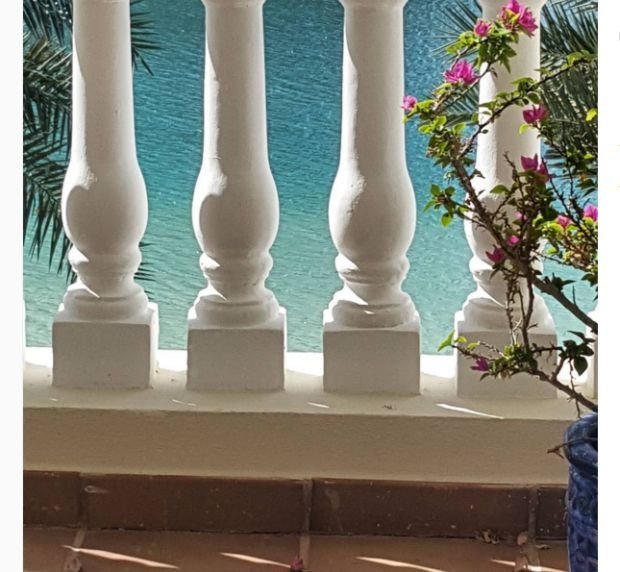 Jelena bin Drai došla u Srbiju