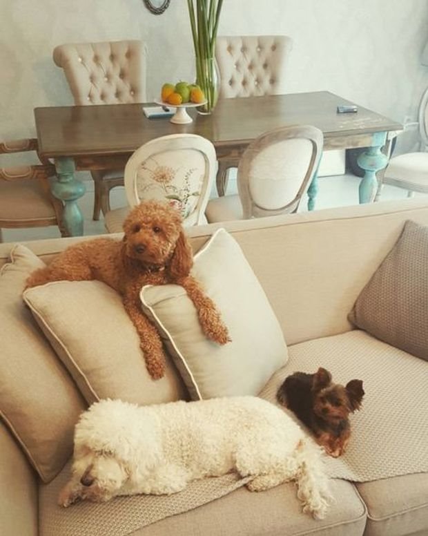 Domovi slavnih: zavirite u raskošan porodični dom Nataše Bekvalac na Dedinju (FOTO + VIDEO)