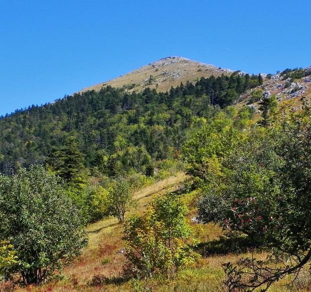 10 najlepših planina u Srbiji: osetite duh i magiju prirode od Fruške Gore do Prokletija