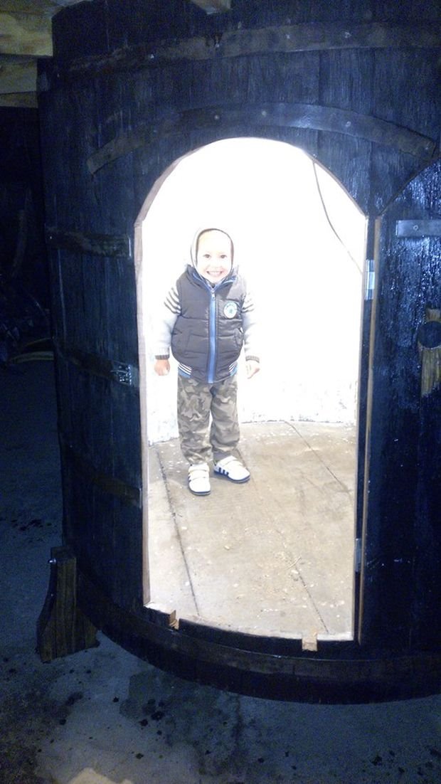 Fantastičan projekat porodice Milijanović iz Lajkovca: od stare kace do kućice za decu iz bajke (FOTO)