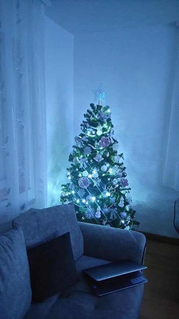 Romantična i jedinstvena jelka u sivo-beloj kombinaciji: zavirite u čarobnu novogodišnju dekoraciju u domu Violete Šutanovac u Nišu (FOTO)