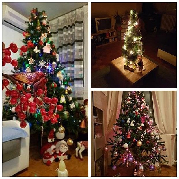 3 novogodišnje jelke čuvaju ljubav, želje i uspomene: zavirite u prazničnu dekoraciju u domu Aleksandra i Jelene Niković u Novom Sadu (FOTO)