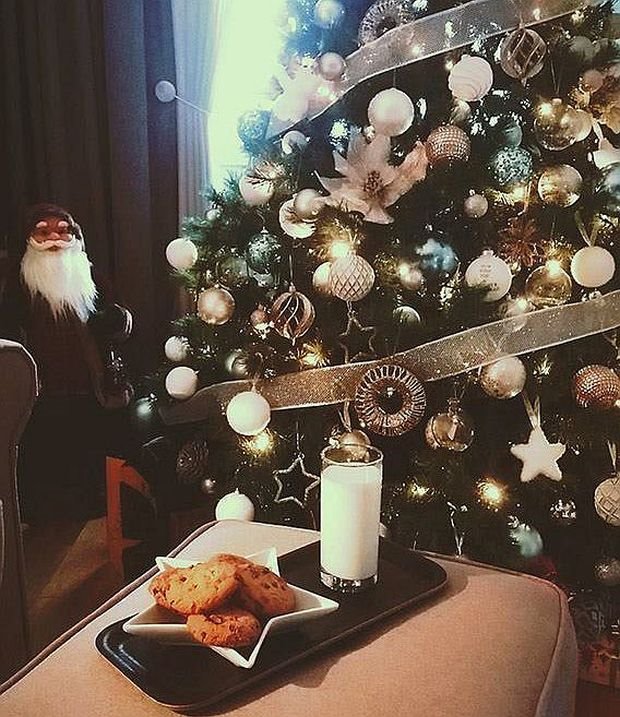 (VIDEO) Filmski doživljaj uz kićenje jelke: pogledajte kako je naša čitateljka Aleksandra Gavrilović ukrasila novi dom po prvi put  (FOTO)