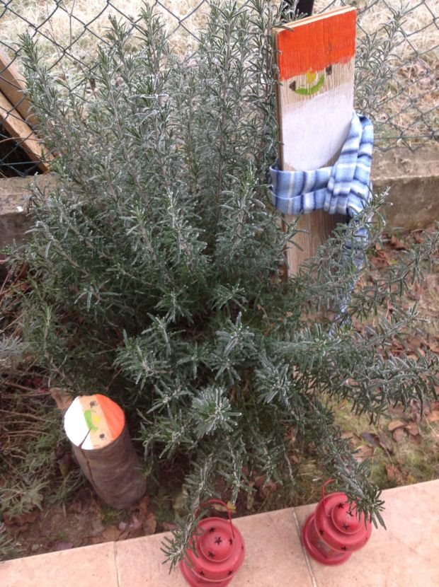 Praznična bajke jedne ulice: Nova godina u Jajincima (FOTO)