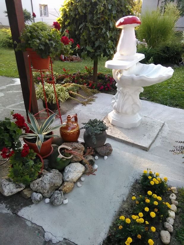 VAŠE BAŠTE: tajanstvena klupa, divno cveće i detalji u dvorištu naše čitateljke Dragane Popadić iz Kraljeva (FOTO)
