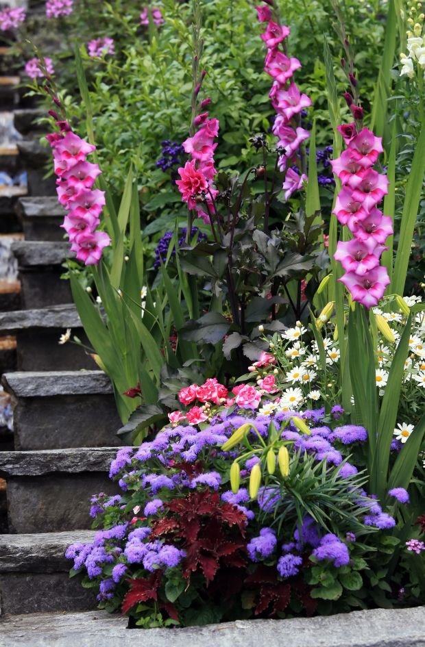 NAJLEPŠA BAŠTA ZA POČETAK PROLEĆA: 6 vrsta cveća koje možete da zasadite u prvim prolećnim danima