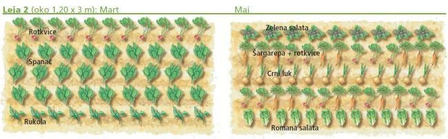 Plan za leje u povrtnjaku