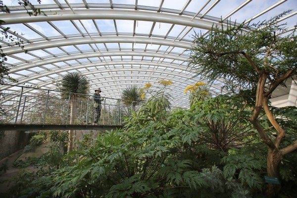 Proleće pod najvećom staklenom kupolom na svetu