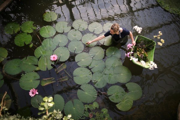 Dan dolaska proleća