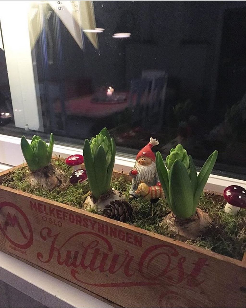 NAJSLAĐA KUĆA U NORVEŠKOJ U KOJU ĆETE SE ZALJUBITI: dom ispunjen slatkim sećanjima