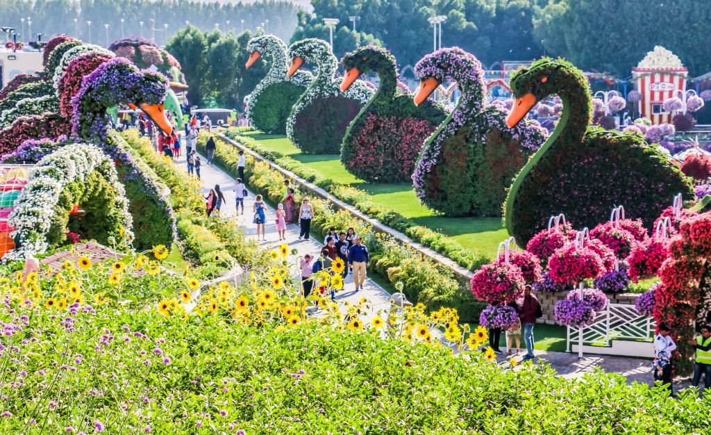 ČUDESNI VRTOVI U DUBAIJU: zavirite u vrt MIRACLE GARDEN