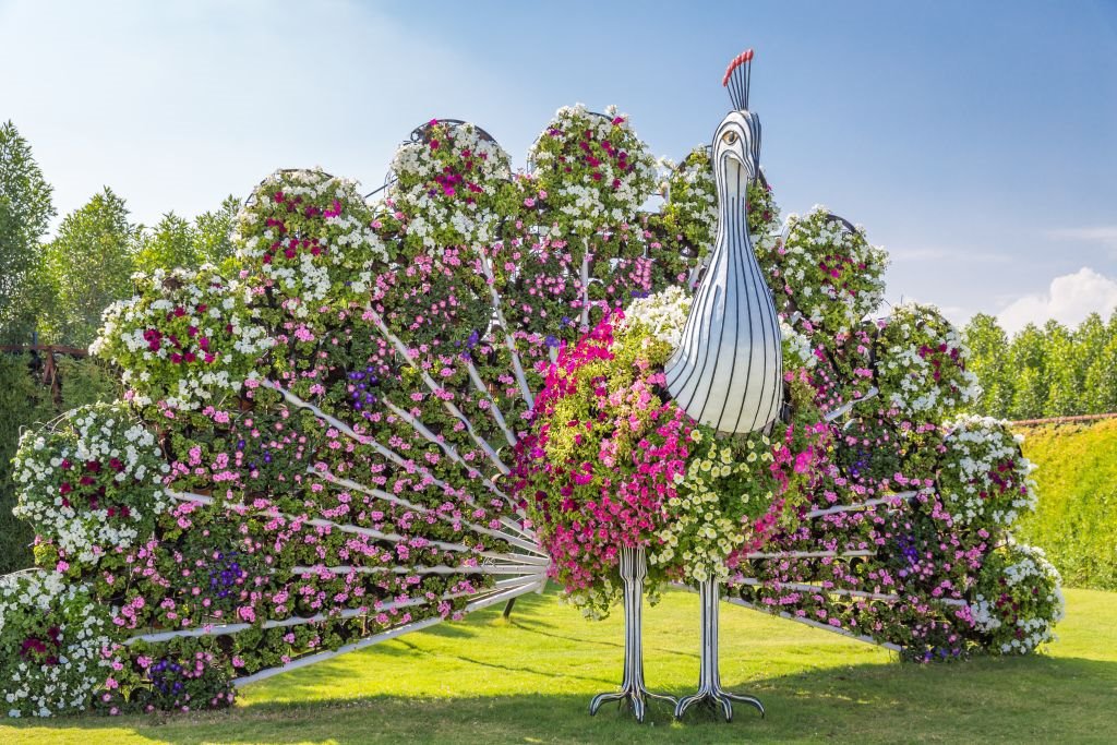 ČUDESNI VRTOVI U DUBAIJU: zavirite u vrt MIRACLE GARDEN