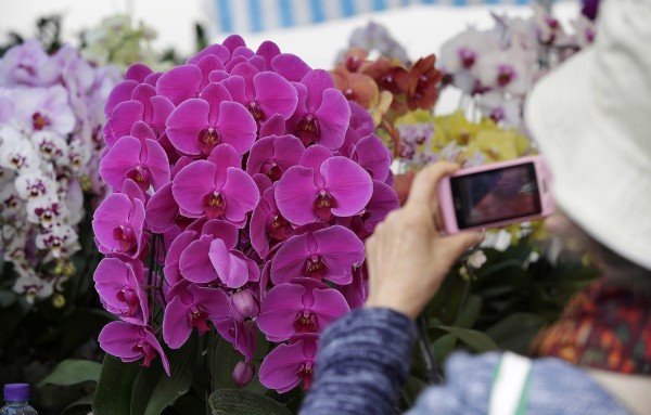 Dan dolaska proleća